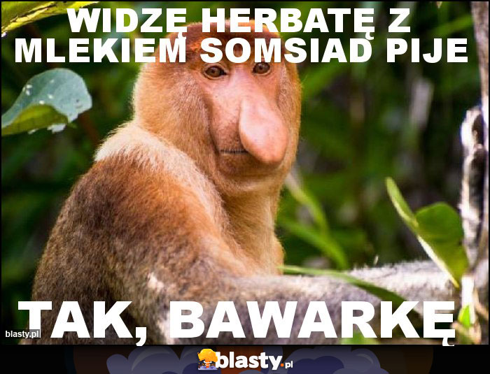 widzę herbatę z mlekiem somsiad pije