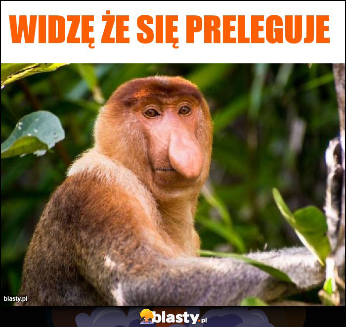 widzę że się preleguje