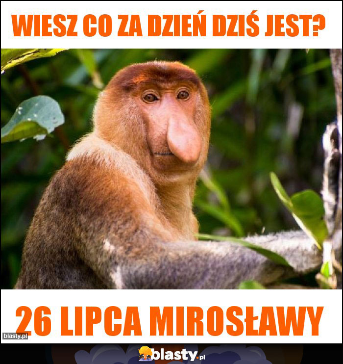 wiesz co za dzień dziś jest?