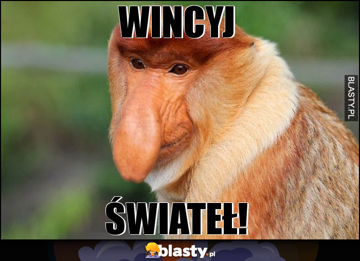 wincyj