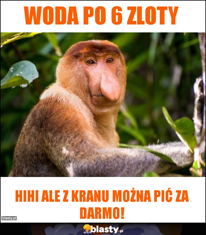 Woda po 6 zloty