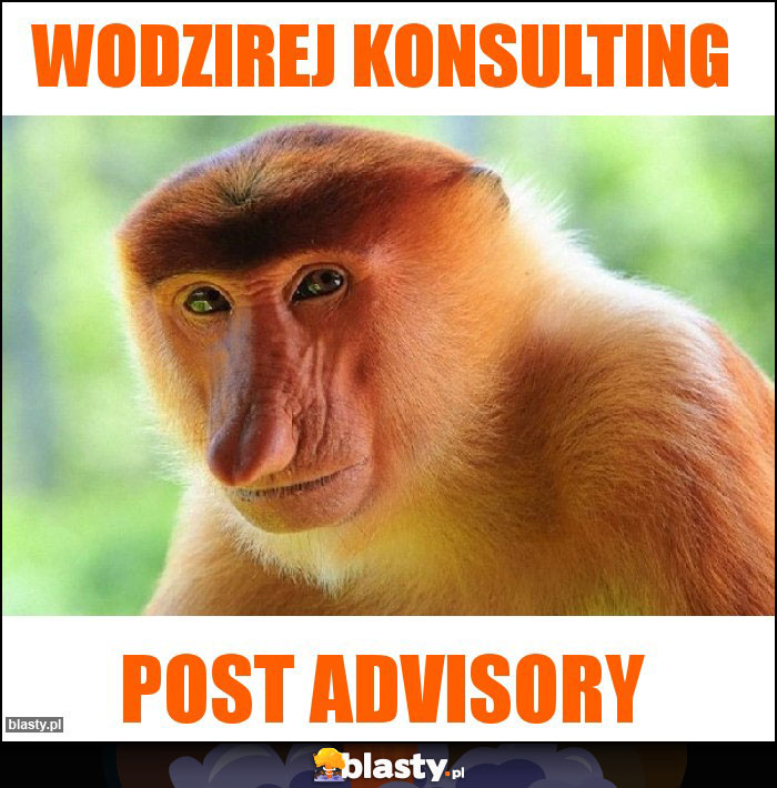 Wodzirej konsulting