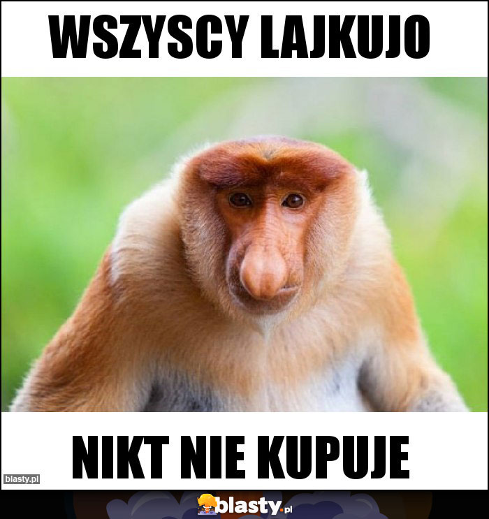 Wszyscy lajkujo