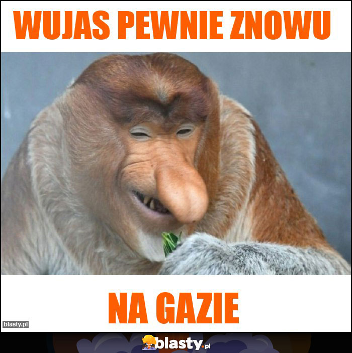 Wujas pewnie znowu