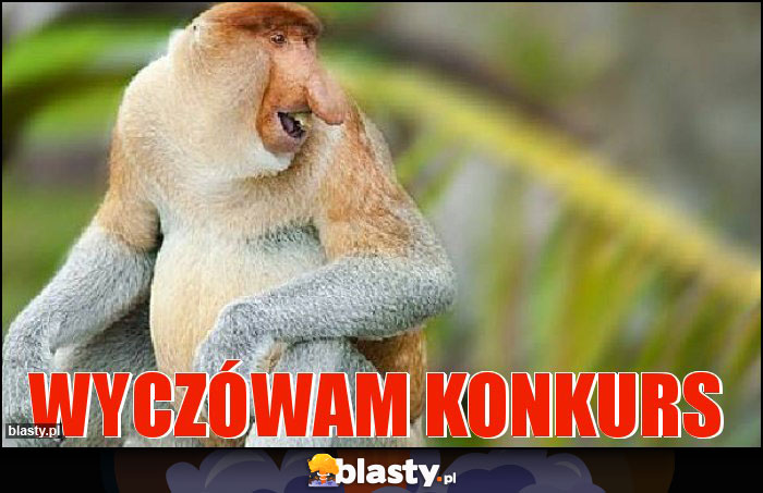 WyczÓwam Konkurs