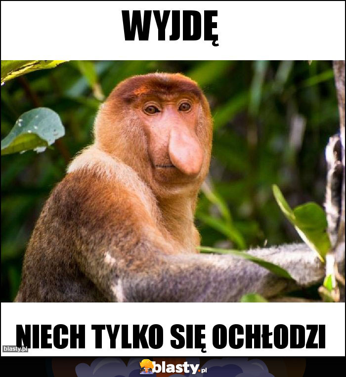 Wyjdę