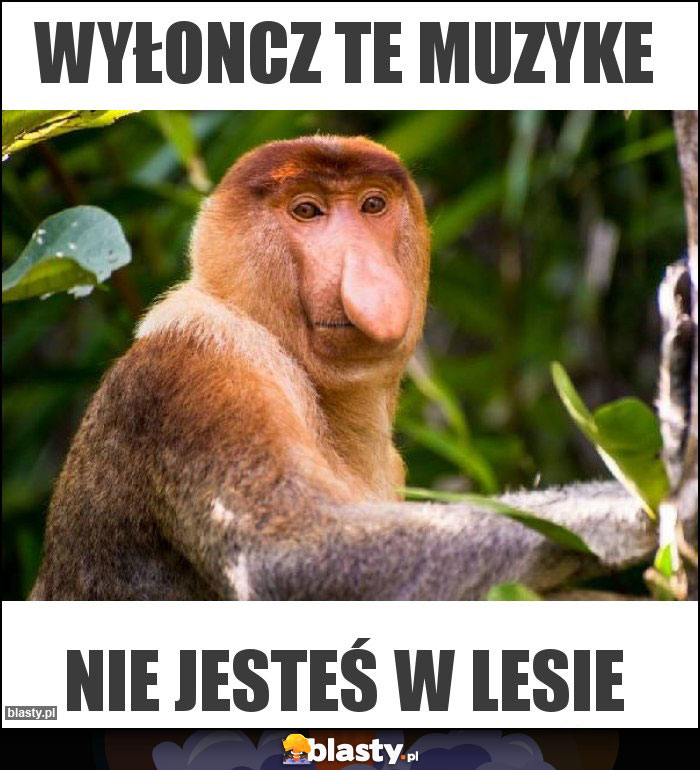 Wyłoncz te muzyke