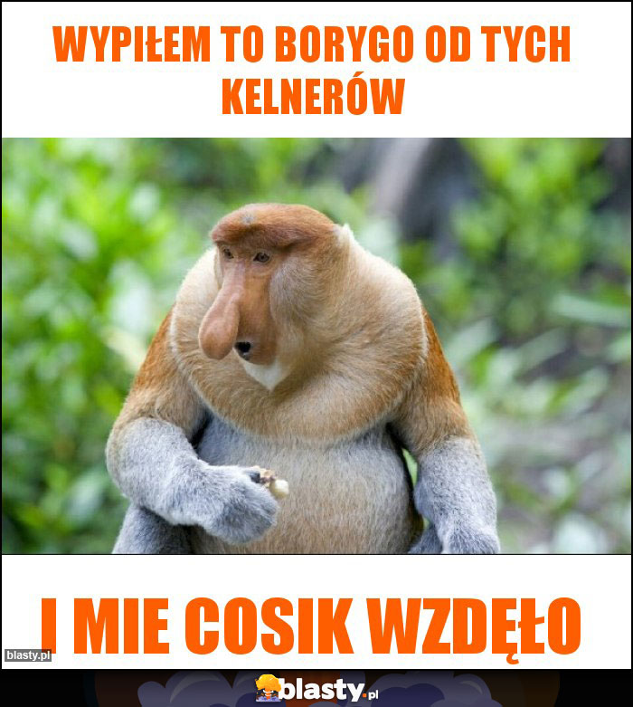 Wypiłem to borygo od tych kelnerów