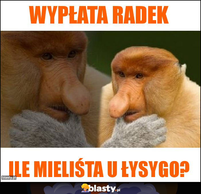 Wypłata Radek