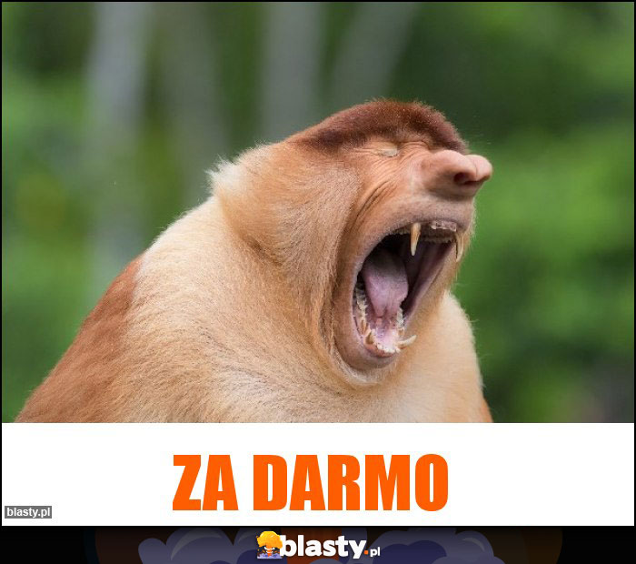 Za darmo