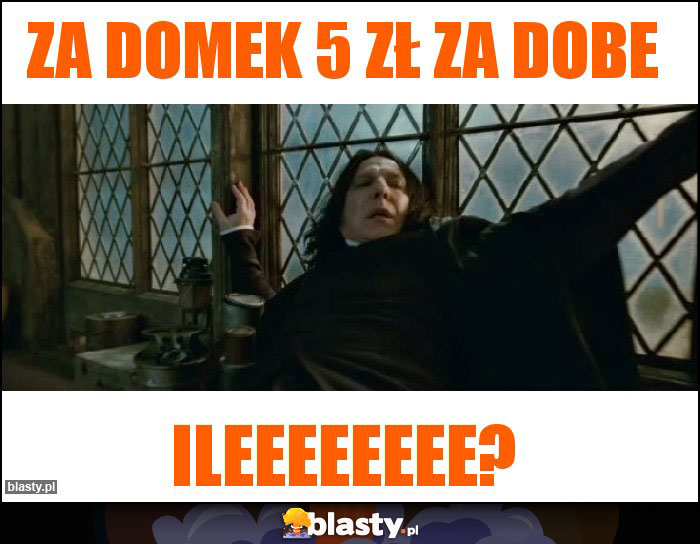 Za domek 5 zł za dobe