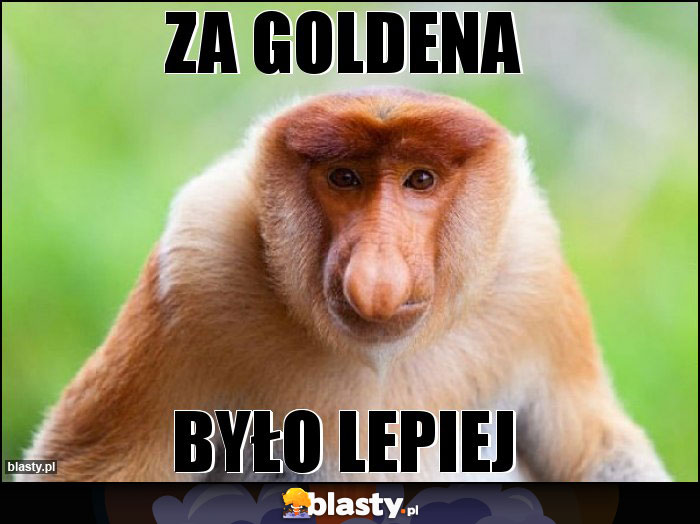 Za goldena