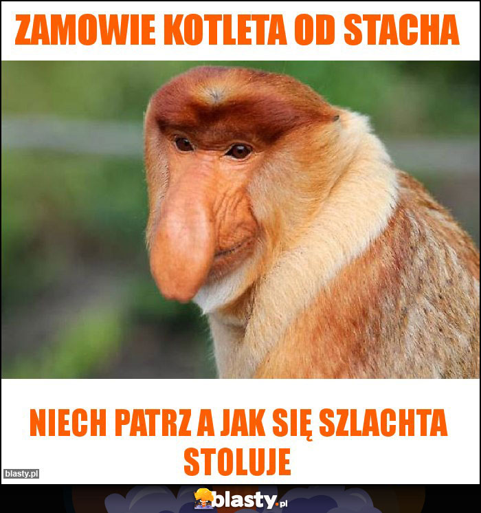 zamowie kotleta od stacha