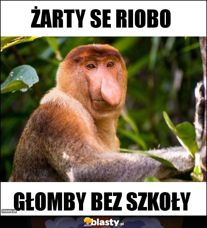 Żarty SE RIOBO