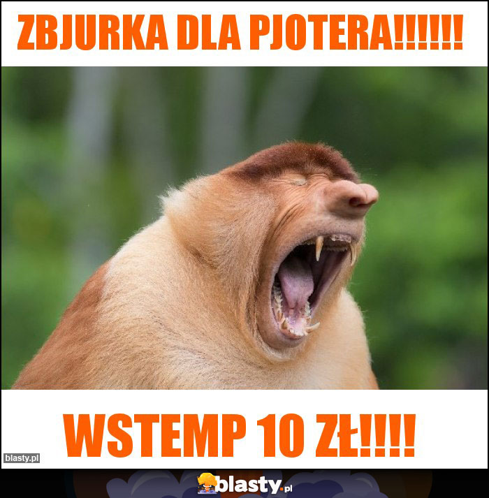 Zbjurka dla pjotera!!!!!!