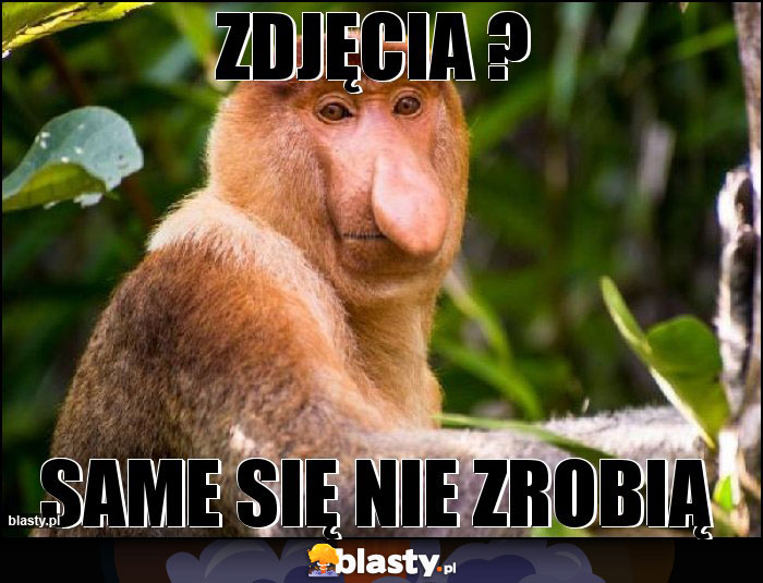 Zdjęcia ?