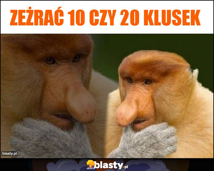 Zeżrać 10 czy 20 klusek