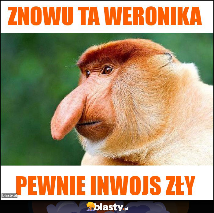 Znowu ta Weronika