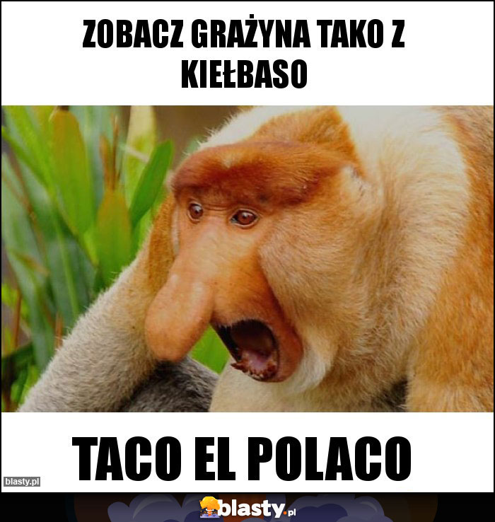 Zobacz Grażyna tako z kiełbaso