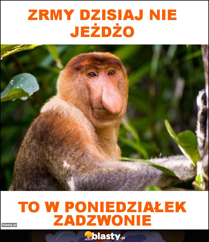 ZRMy dzisiaj nie jeżdżo