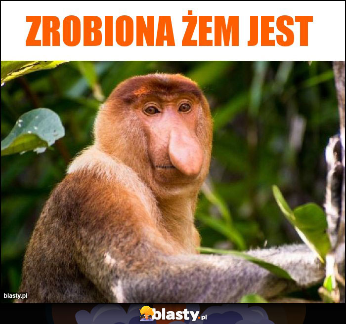 Zrobiona żem jest