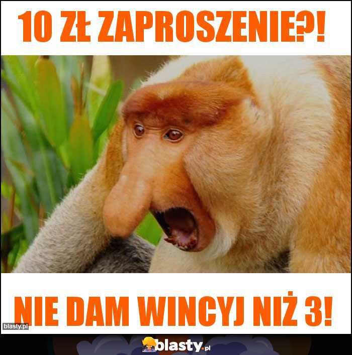 10 zł zaproszenie?!