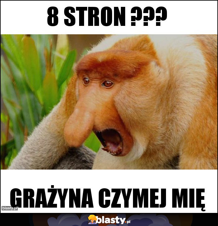 8 stron ???