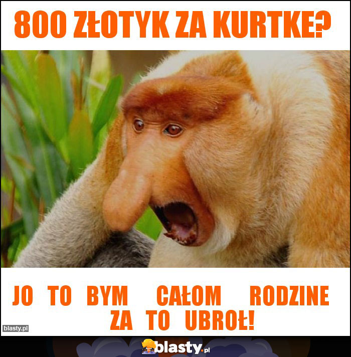 800 złotyk za kurtke?