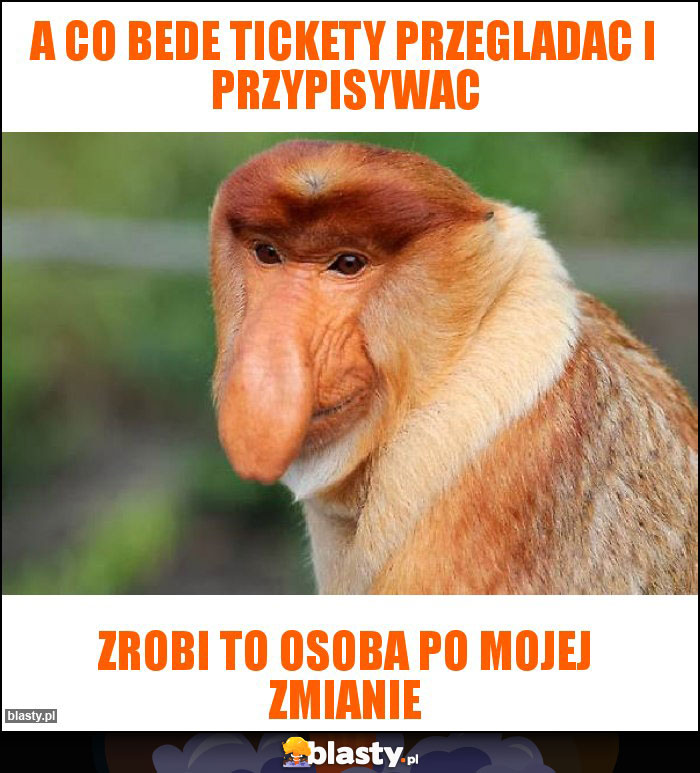 A co bede tickety przegladac i przypisywac