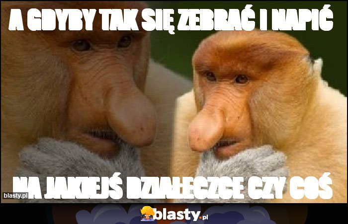 a gdyby tak się zebrać i napić