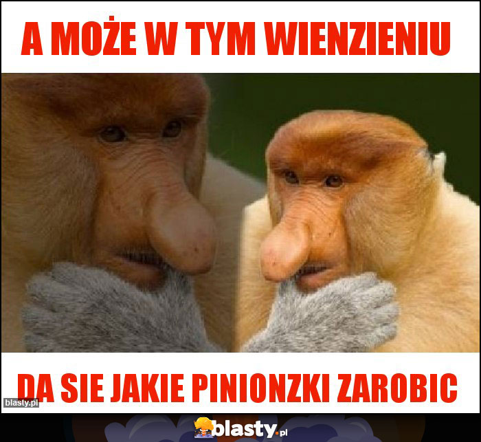 A MOże w tym wienzieniu