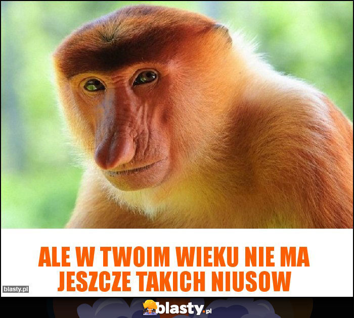 Ale w twoim wieku nie ma jeszcze takich niusow