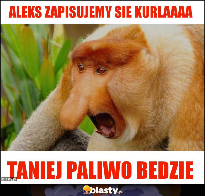 Aleks zapisujemy sie kurlaaaa