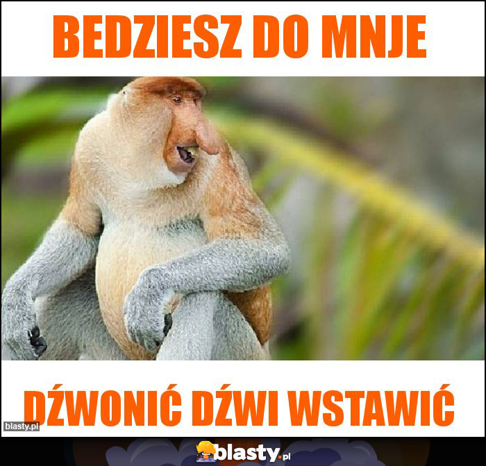 Bedziesz do mnje