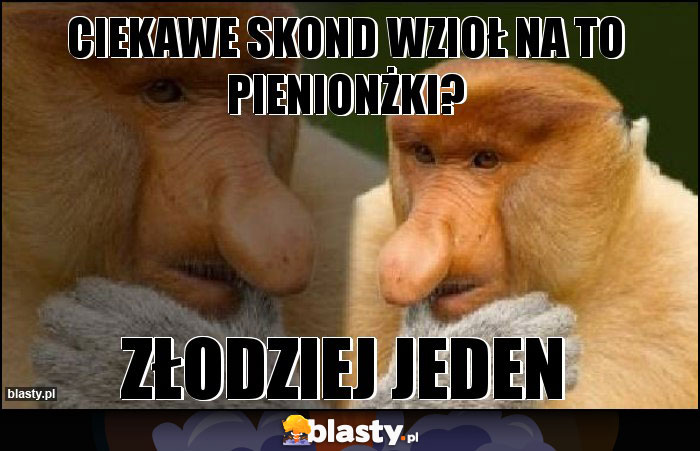 Ciekawe skond wzioł na to pienionżki?