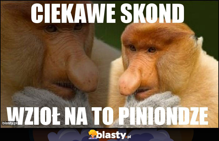 ciekawe skond