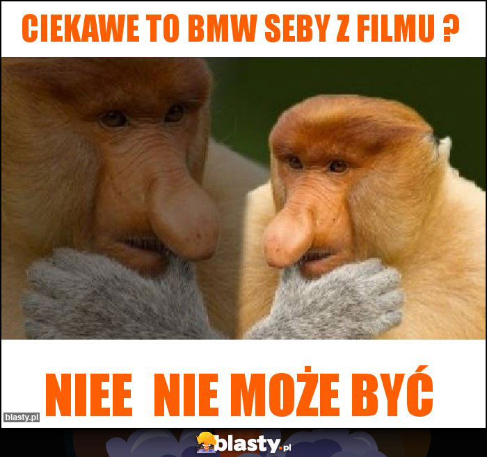 Ciekawe to bmw Seby z filmu ?