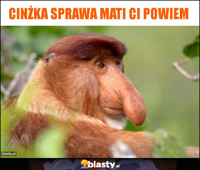 CINżka SPrawa Mati ci powiem