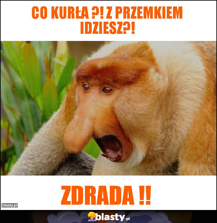 Co kurła ?! Z Przemkiem idziesz?!