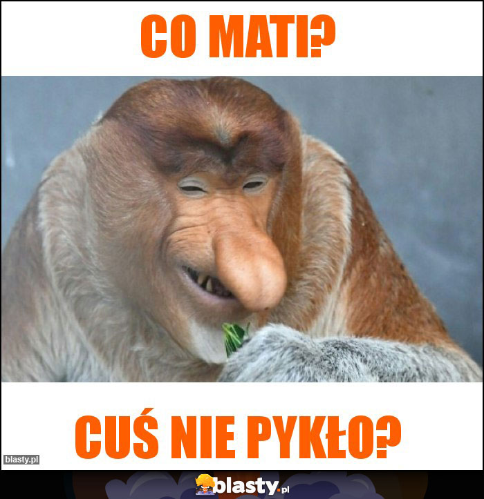 Co Mati?