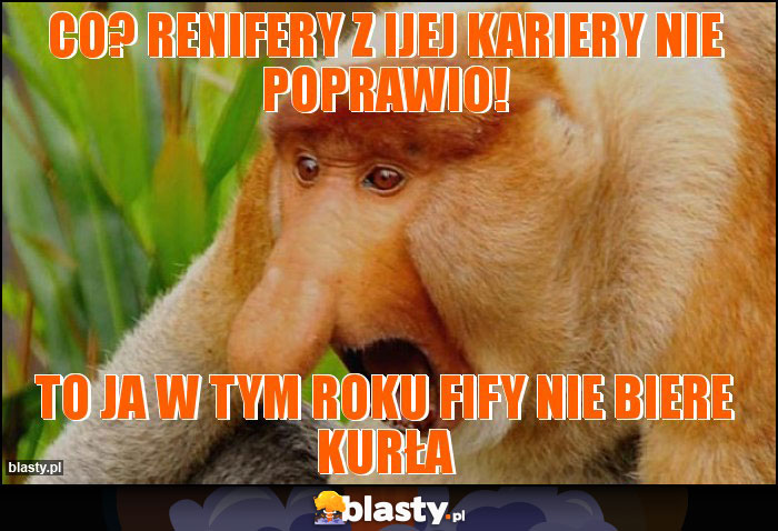 Co? Renifery z ijej kariery nie poprawio!