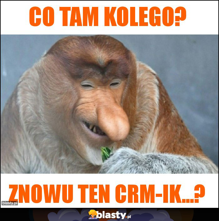 Co tam kolego?