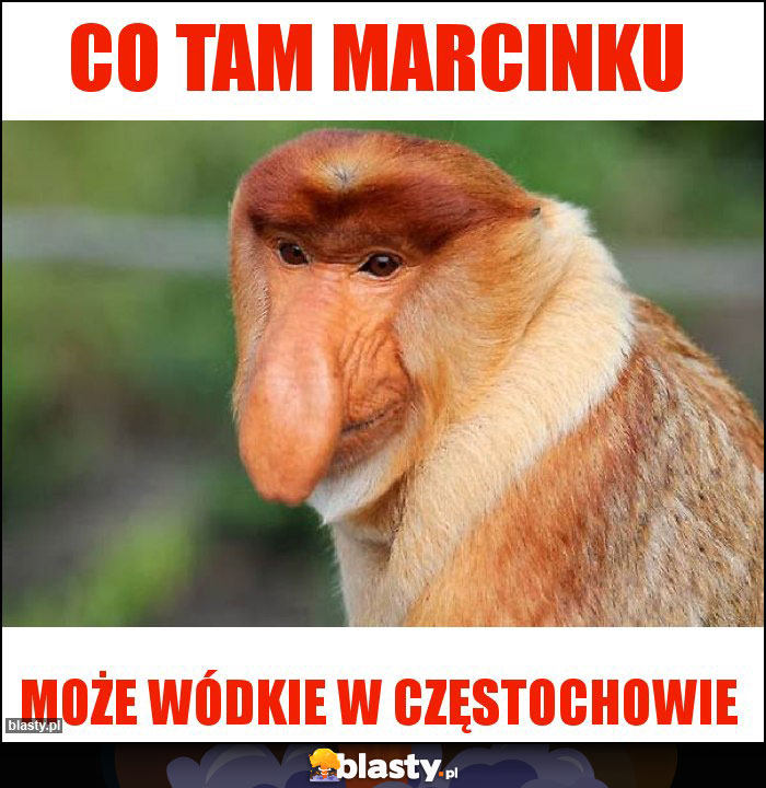 Co tam Marcinku