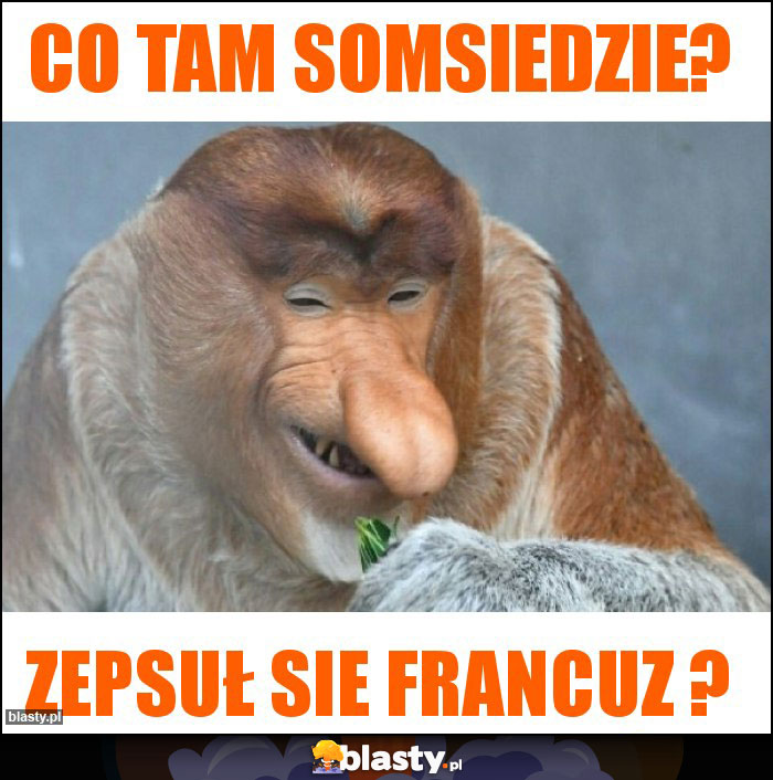 Co tam somsiedzie?