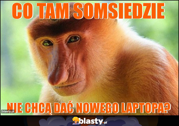 Co tam somsiedzie