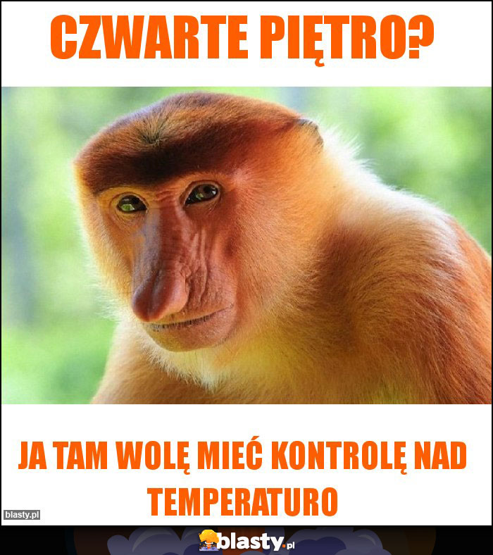 Czwarte piętro?