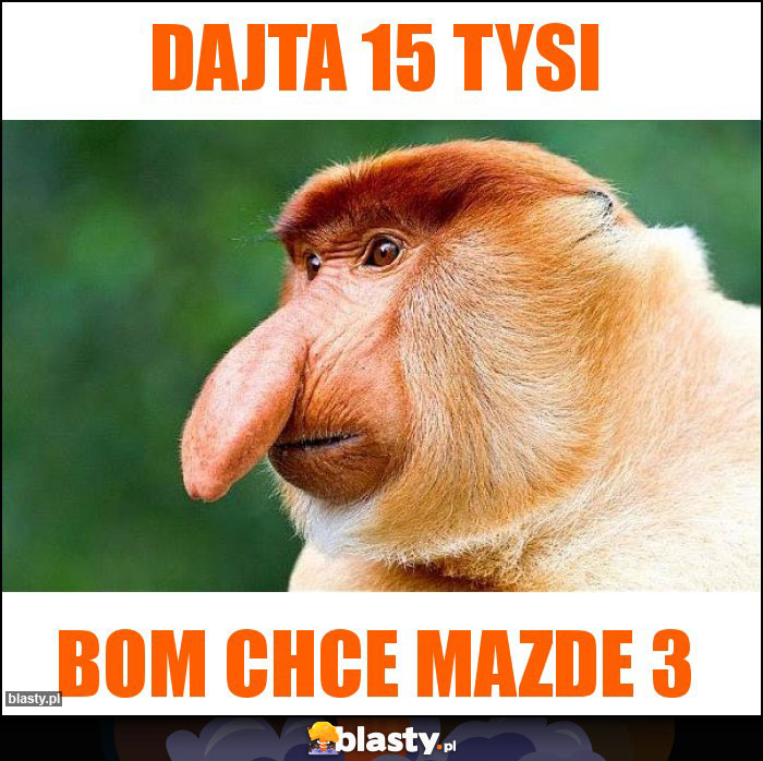 Dajta 15 tysi