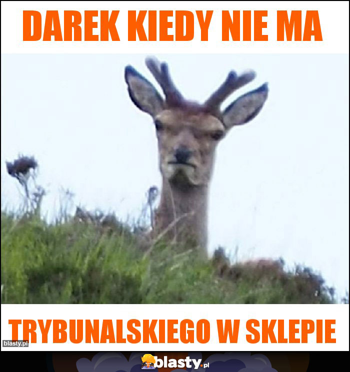 Darek kiedy nie ma