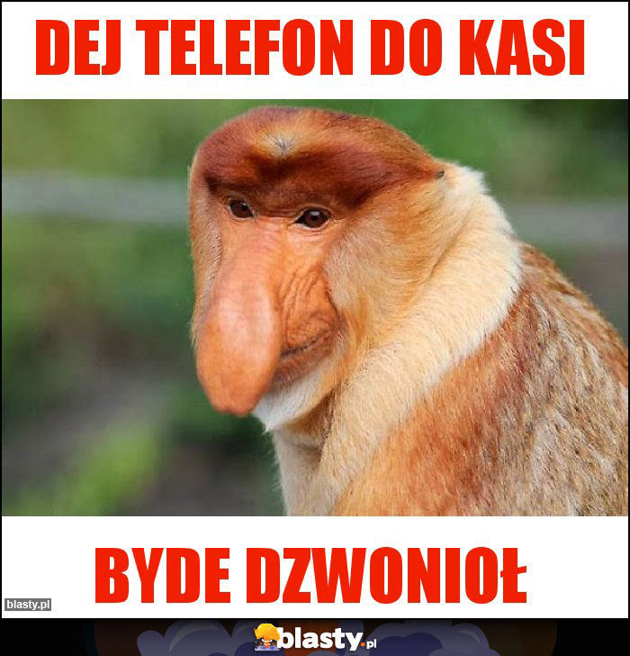 Dej telefon do Kasi