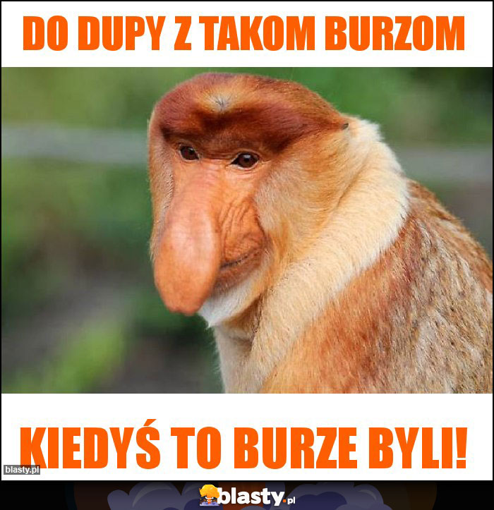 Do dupy z takom burzom